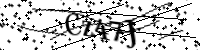 Type de letter hieronder