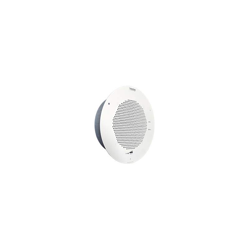SIP Speaker - Gray White